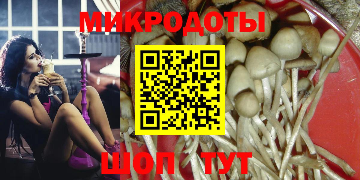 Кизляр  Галлюциногенные грибы Psilocybine cubensis  Вход с VPN 